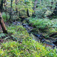 22-09-11 12-37-08 2008